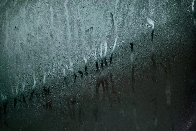 Traitement humidité condensation, moisissure... Pyrénées-Atlantiques